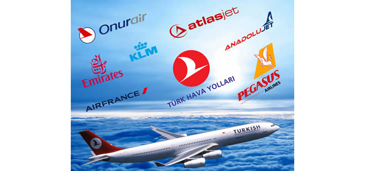 International & Domestic & Charter Flights